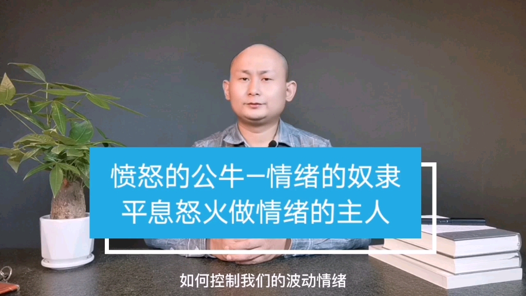 比赛中爆发了意想不到的情绪风暴