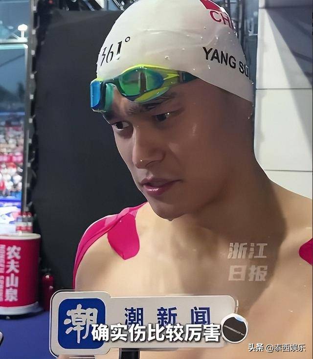 中国选手搏尽全力，收获累累金牌的简单介绍